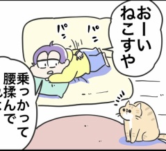 我が家の猫がこれをやってくれて気持ちいい！！
