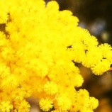 『創造の正体（5600回記念）（35）常識と非常識（34）』の画像