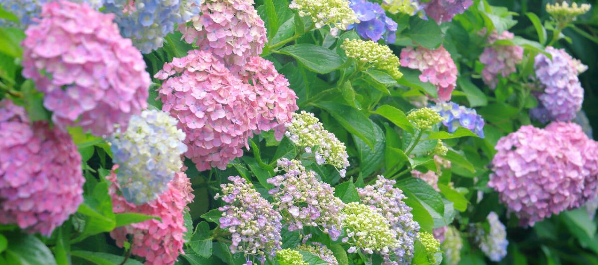 ニシザキ工芸(株)塗装部　工房日誌 2 イメージ画像