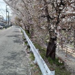 優雅に節約生活