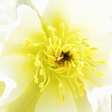 『老いの覚悟と生き方Ⅱ（5650回記念）（49）「80歳の壁・実践編（18）」』の画像