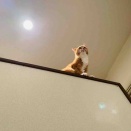 バリバリ、ケリケリ