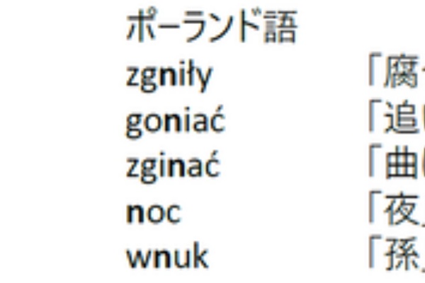 ポーランド語