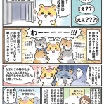 はむ子の挑戦｜税理士を目指したデコボコ成長記