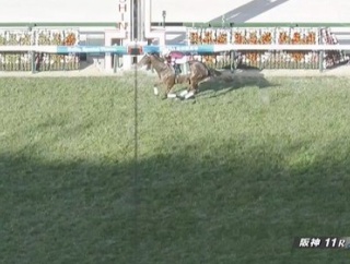 【競馬】ソンシが引退　今後はニュージーランドで種牡馬になる予定