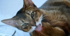 ヴィヴィアンの1歳頃の未公開写真