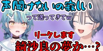 【にじさんじ】きいさまの声が聞けず寂しくて連絡をしてたらしい某水色の人
