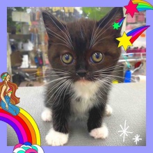 ペットハウスウインク川内店のブログ