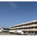 5月後半