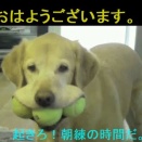 【テルマエ・ロマエ】