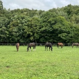 『被害なし』の画像