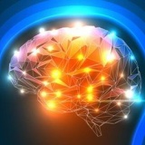 魂の存在否定派に聞きたいんだけど自分の意識どう証明するの？
