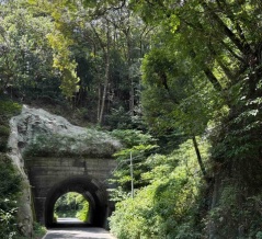 不思議な道に遭遇