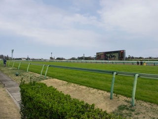 鞍馬Sでもレコード決着で予後不良　故障馬が続出しているのは馬場造園課のせい