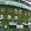 【高校野球】2028年にも7イニング制導入か　猛暑対策巡り議論