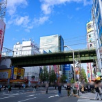 さえひろでいず