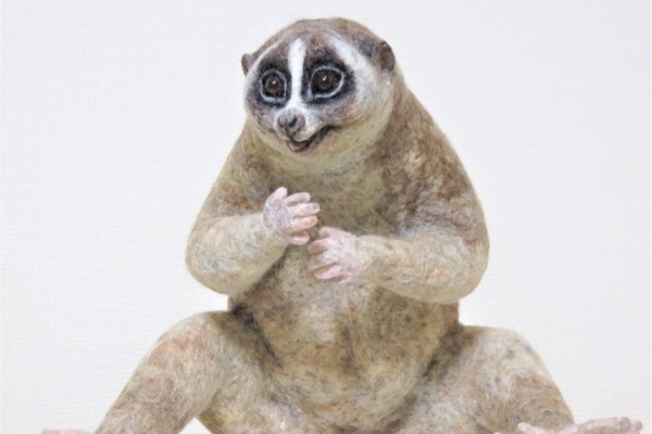 羊毛の苑～生き物羊毛フェルト～ - ロリス科