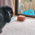 まさにマイペース。