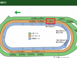 【根岸S】堅いのには根拠がある