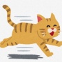 【動画】猫に首輪カメラをつけてみる ⇒ 想像以上に厳しい猫社会の現実がこちら・・・