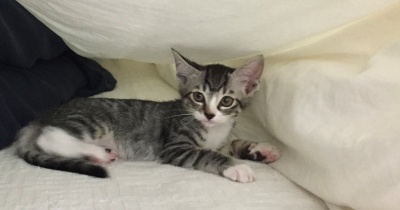 まろはなの１１年前の動画が出てきたよ！