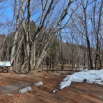 塩原温泉　彩つむぎ　女将の独り言