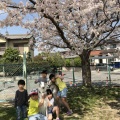 誕生日。