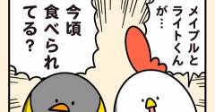 謎と手がかり
