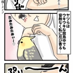 たろぴぃブログ