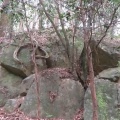 吉備中山の金毘羅宮跡の磐座