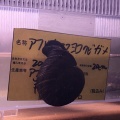 蝸牛