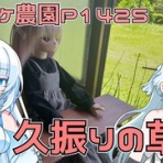 Next days ~ マイペース農業