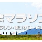 『とくしまマラソン2024 雨中の激走編』の画像