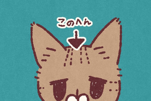 タケコブター様 レジンヘアゴム キジトラ猫ちゃん 紅葉＆とんぼNo.1341