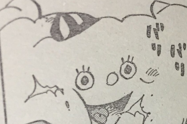 アニメ ゲーム 最速情報 ドンドン ワンピース1018話