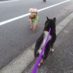 churahamaのブログ