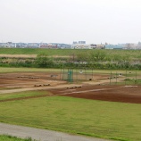 『パラパラと来ましたが…』の画像