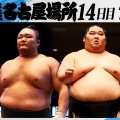 【大相撲】朝乃山、優勝するまで終わらない : 両親に感謝しながら再起を誓う！