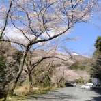 ふらっと　つれづれ帳（旧　ふらっと山へ）