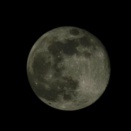 体調がブッパゲテから１weak