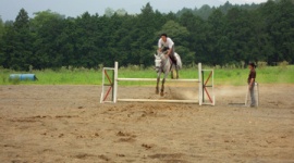 【栃木】馬４頭を盗んで九州まで運搬、食肉業者に売却…国体優勝の26歳アルバイトを逮捕