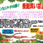 CANDLEブログ