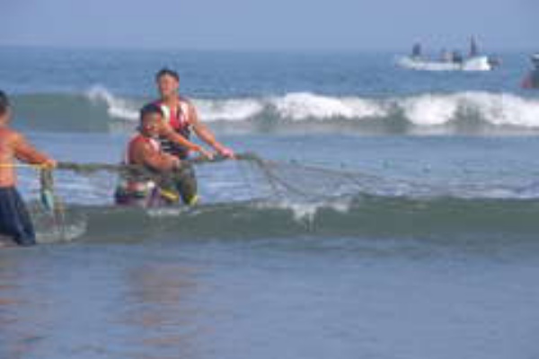 サメ シャチ好き集まれ情報局 茨城のサメ