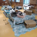 NPO犬猫みなしご救援隊・代表ブログ・みなしご庵へようこそ