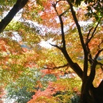 銀輪旅人　イーハトーブの風