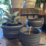 ACTIS FLOWER＆GARDEN GREEN　　プチ*フルール