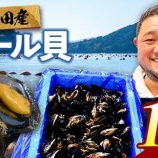 『ふるさと特産品　明神丸かき・ほたてきちのムール貝』の画像