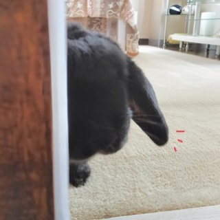 ぶ〜に〜の暮らし