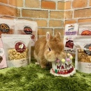 【まるくる】ぼく4歳になりました！【誕生日】