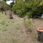 芦屋市議会議員 大原ゆうき活動報告